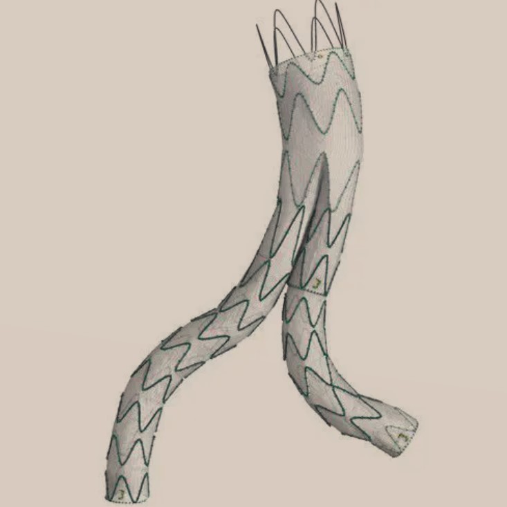 endoprothèse aortique